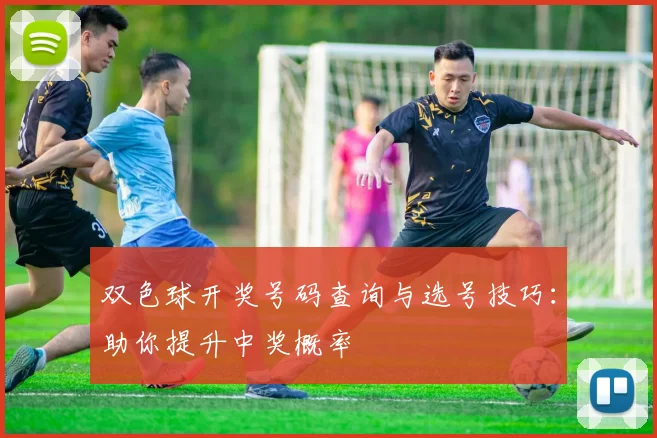 双色球开奖号码查询与选号技巧:助你提升中奖概率
